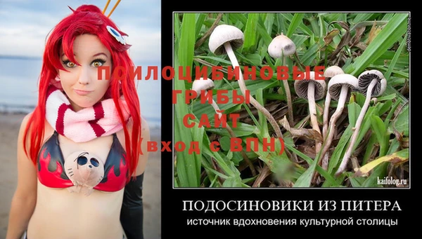 марки lsd Гусь-Хрустальный