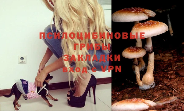 альфа пвп Гусев
