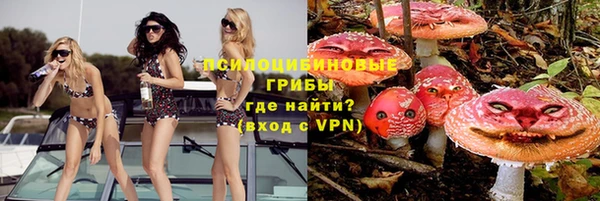 альфа пвп Гусев