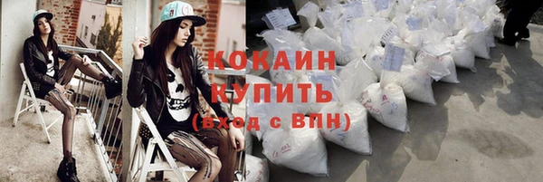альфа пвп Гусев