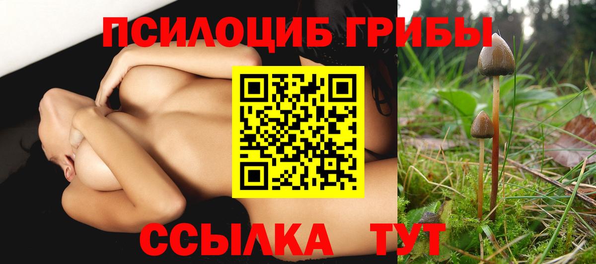Великий Устюг  Галлюциногенные грибы Magic Shrooms  Вход с VPN 